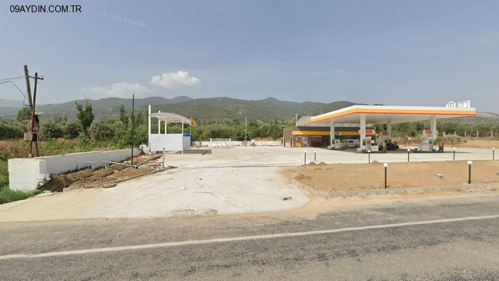 Shell Fotoğrafları