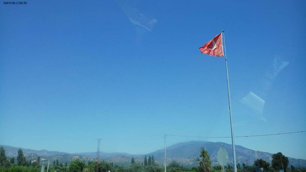 Shell Fotoğrafları