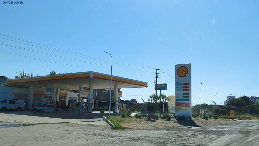 Shell Fotoğrafları