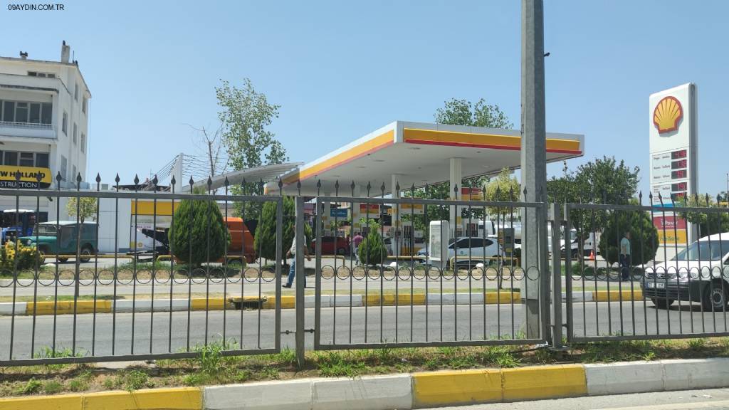 Shell Fotoğrafları