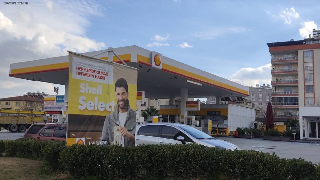 Shell Fotoğrafları