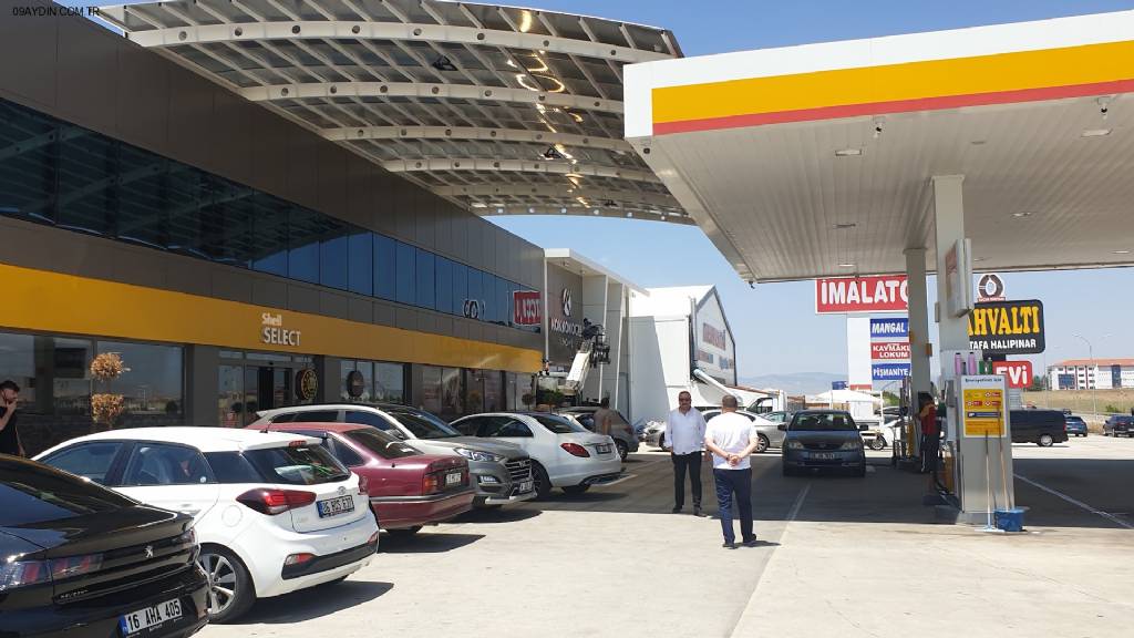 Shell Fotoğrafları