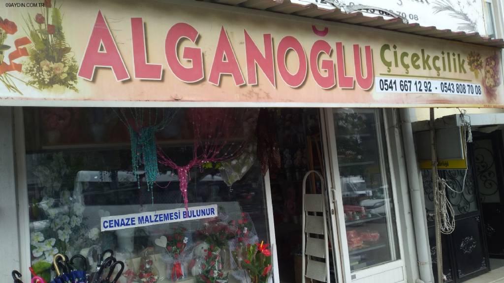 Alganoğlu Çiçekçilik Fotoğrafları