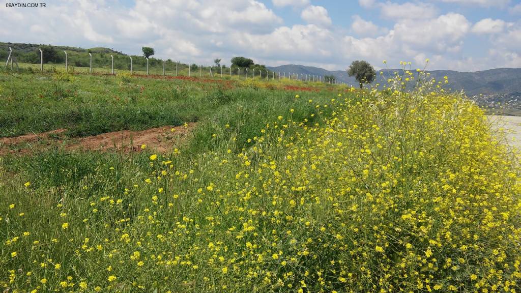 Çine Organize Sanayi Bölgesi Fotoğrafları