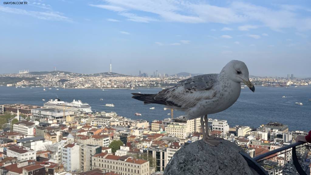 Kuşadası Gazeteciler Dern. Fotoğrafları