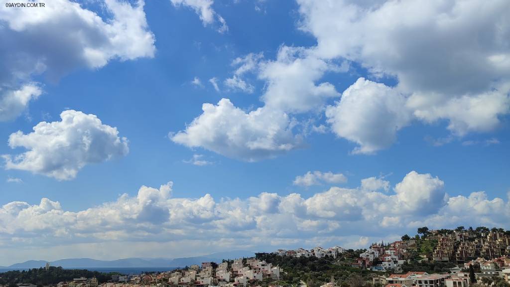 Kuşadası Otomobilciler Ve Şöförler Esnaf Odası Fotoğrafları