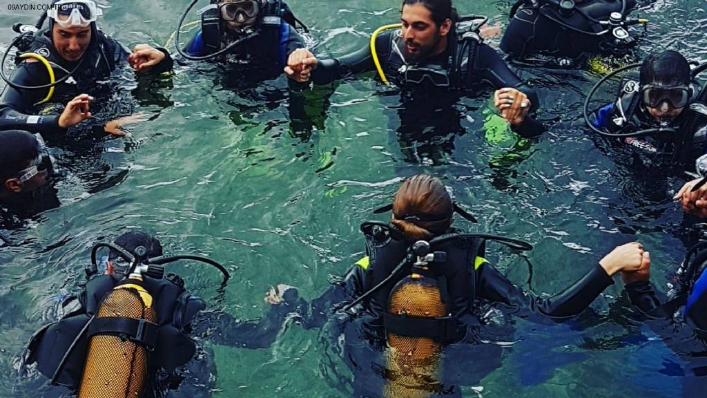 Diver Bees Dive Center - Kuşadası Dalış Merkezi Turkiye Fotoğrafları