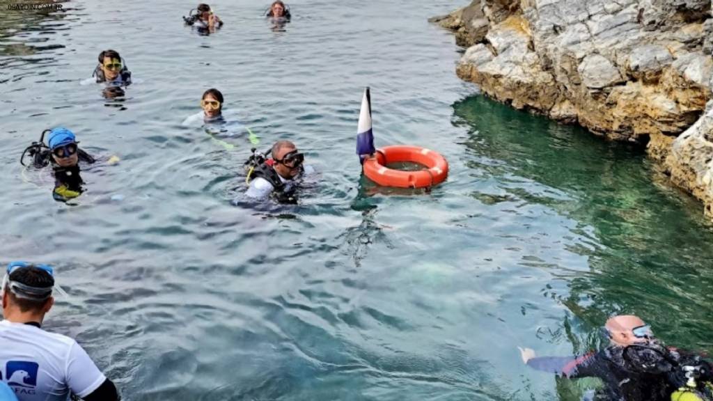 Diver Bees Dive Center - Kuşadası Dalış Merkezi Turkiye Fotoğrafları