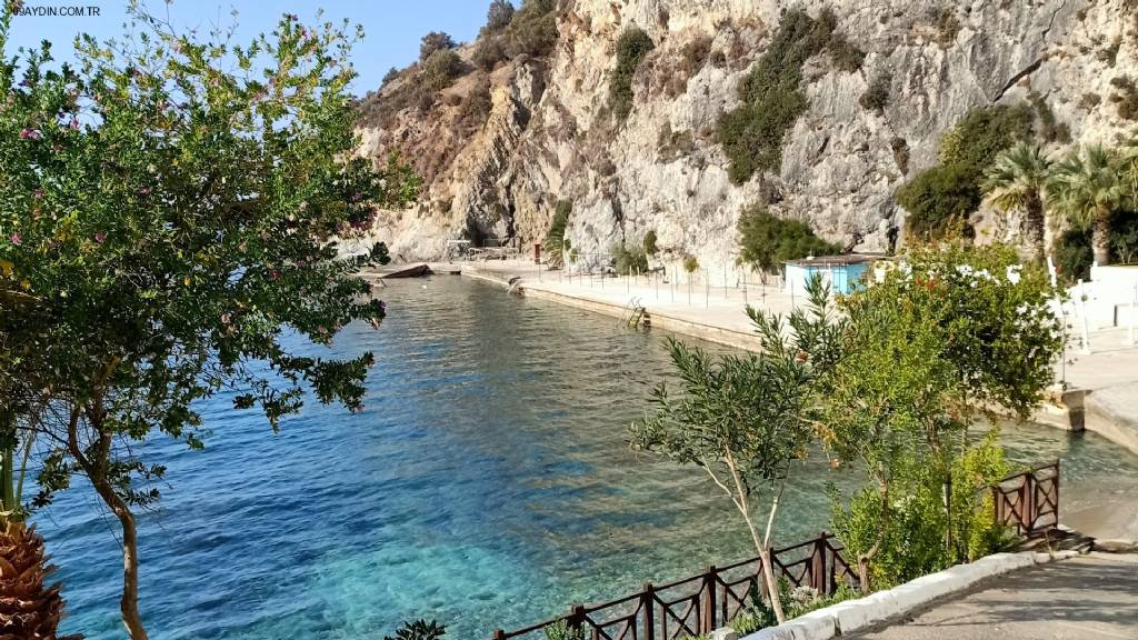 Diver Bees Dive Center - Kuşadası Dalış Merkezi Turkiye Fotoğrafları