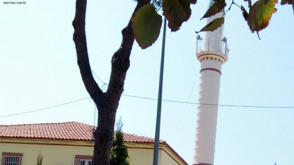 Merkez Cami Fotoğrafları