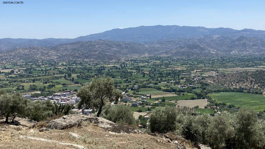 Karpuzlu Belediyesi 30. Yıl Hatıra Ormanı Fotoğrafları