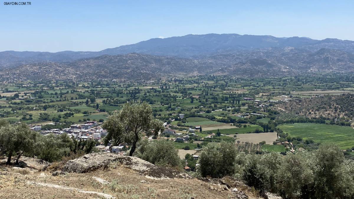 Karpuzlu Belediyesi 30. Yıl Hatıra Ormanı