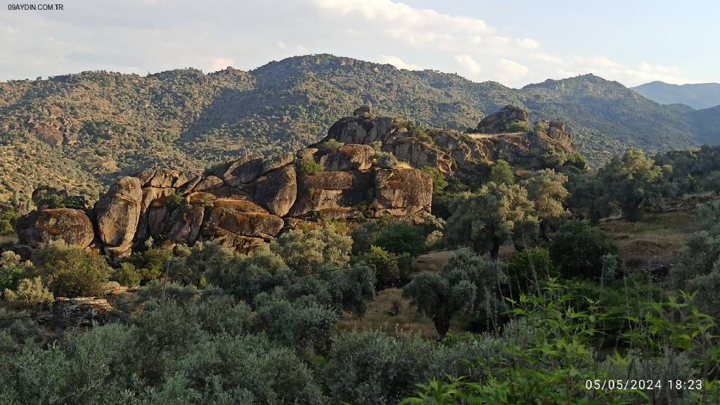 Karpuzlu Belediyesi 30. Yıl Hatıra Ormanı Fotoğrafları