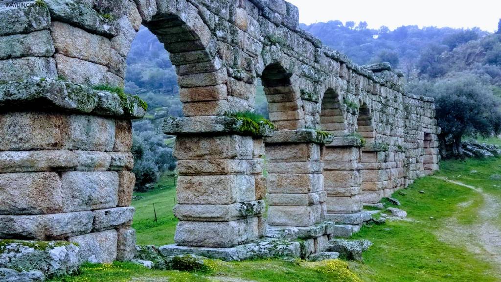 Karpuzlu Belediyesi 30. Yıl Hatıra Ormanı Fotoğrafları