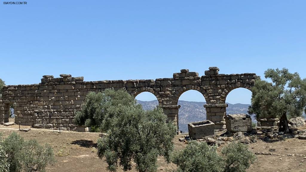 Karpuzlu Belediyesi 30. Yıl Hatıra Ormanı Fotoğrafları