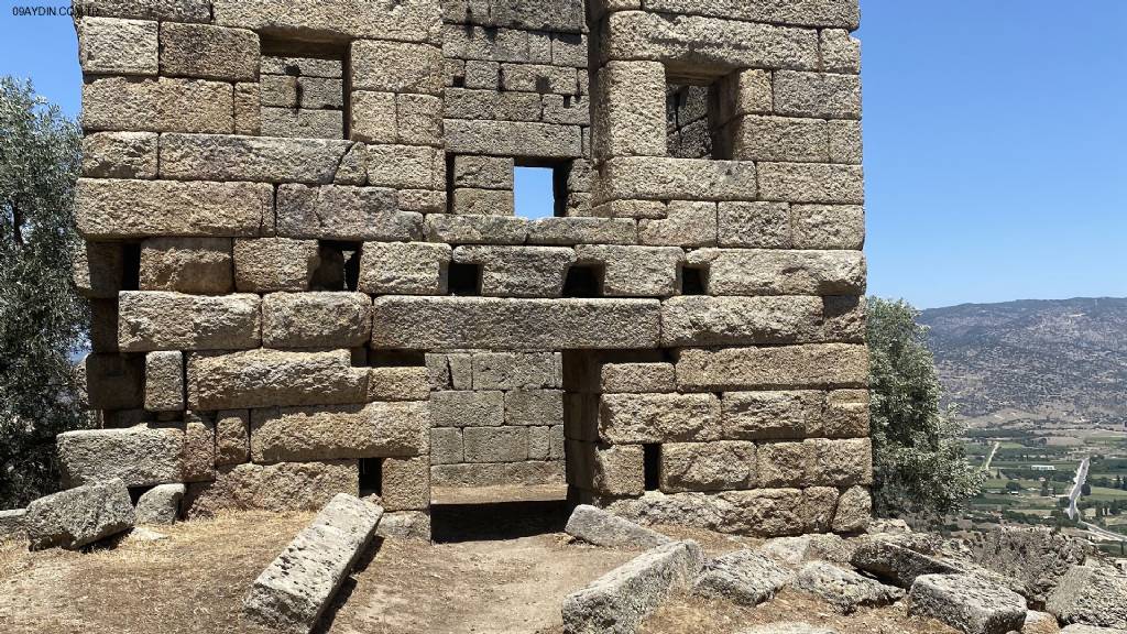 Karpuzlu Belediyesi 30. Yıl Hatıra Ormanı Fotoğrafları