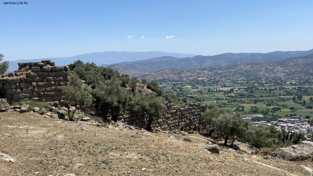 Karpuzlu Belediyesi 30. Yıl Hatıra Ormanı Fotoğrafları