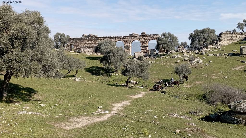 Karpuzlu Belediyesi Fotoğrafları