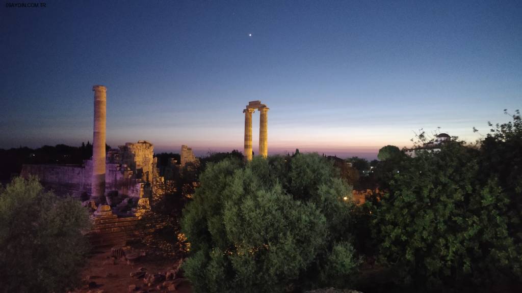 Olivia Restoran Fotoğrafları