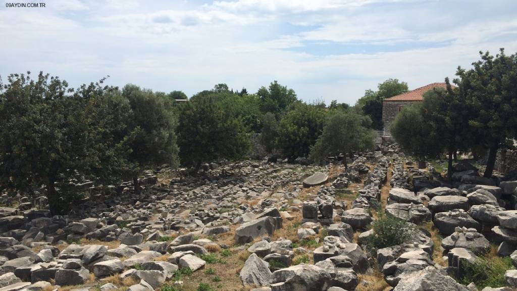 Apollon Restoran Fotoğrafları