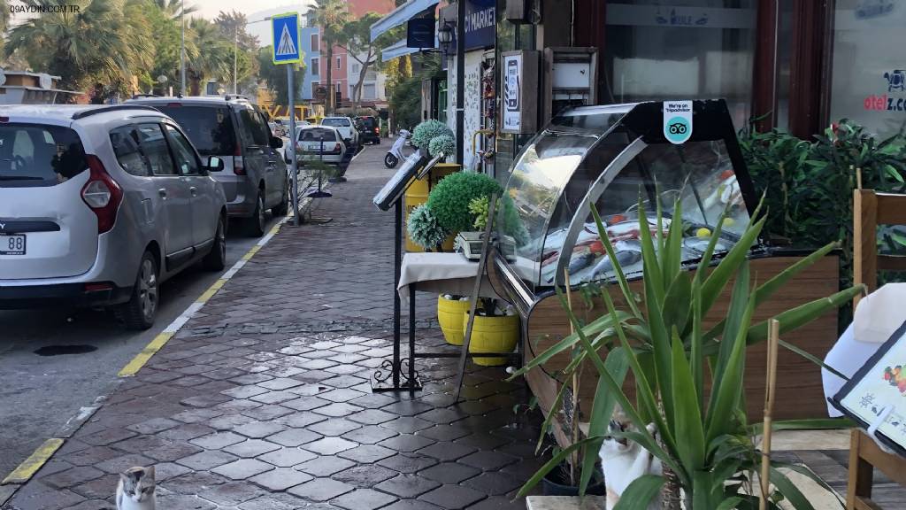 Kule Seafood Restaurant Fotoğrafları