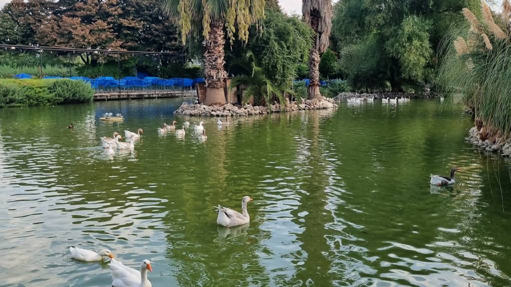 Gönül Hanı Park Restoran Fotoğrafları