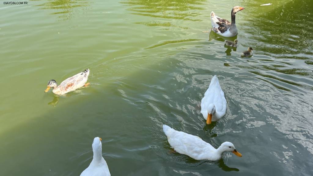 Gönül Hanı Park Restoran Fotoğrafları