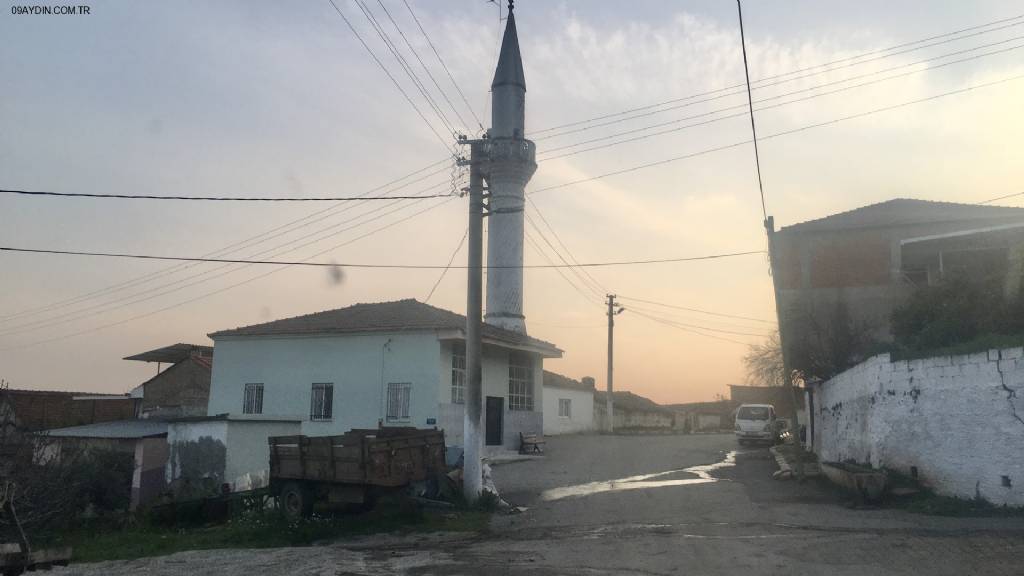 Orta Cami Fotoğrafları