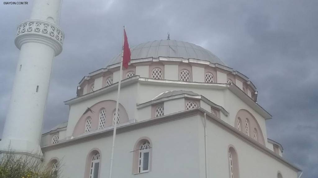 Orta Cami Fotoğrafları