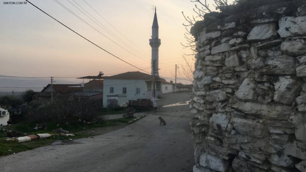 Orta Cami Fotoğrafları