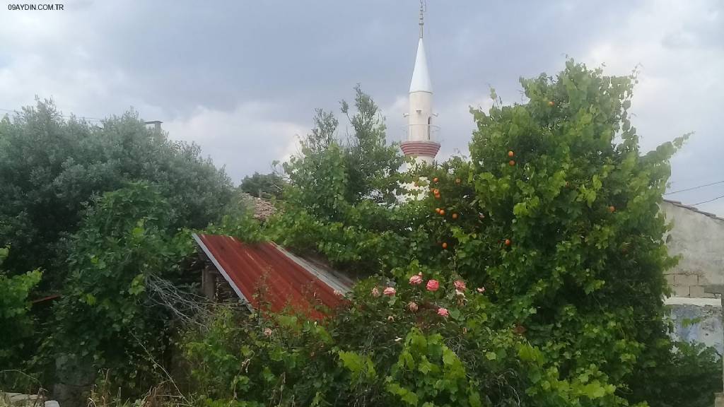 Dede Camii Fotoğrafları