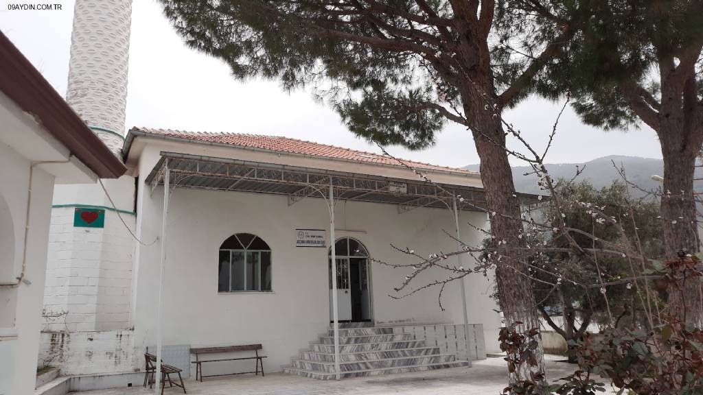 Akçaova bekarlar camii çine aydın Fotoğrafları