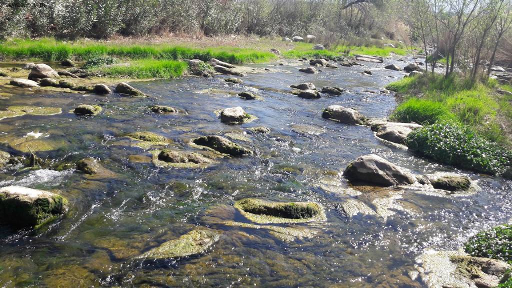 Yenice Kapalı Düğün Salonu Fotoğrafları