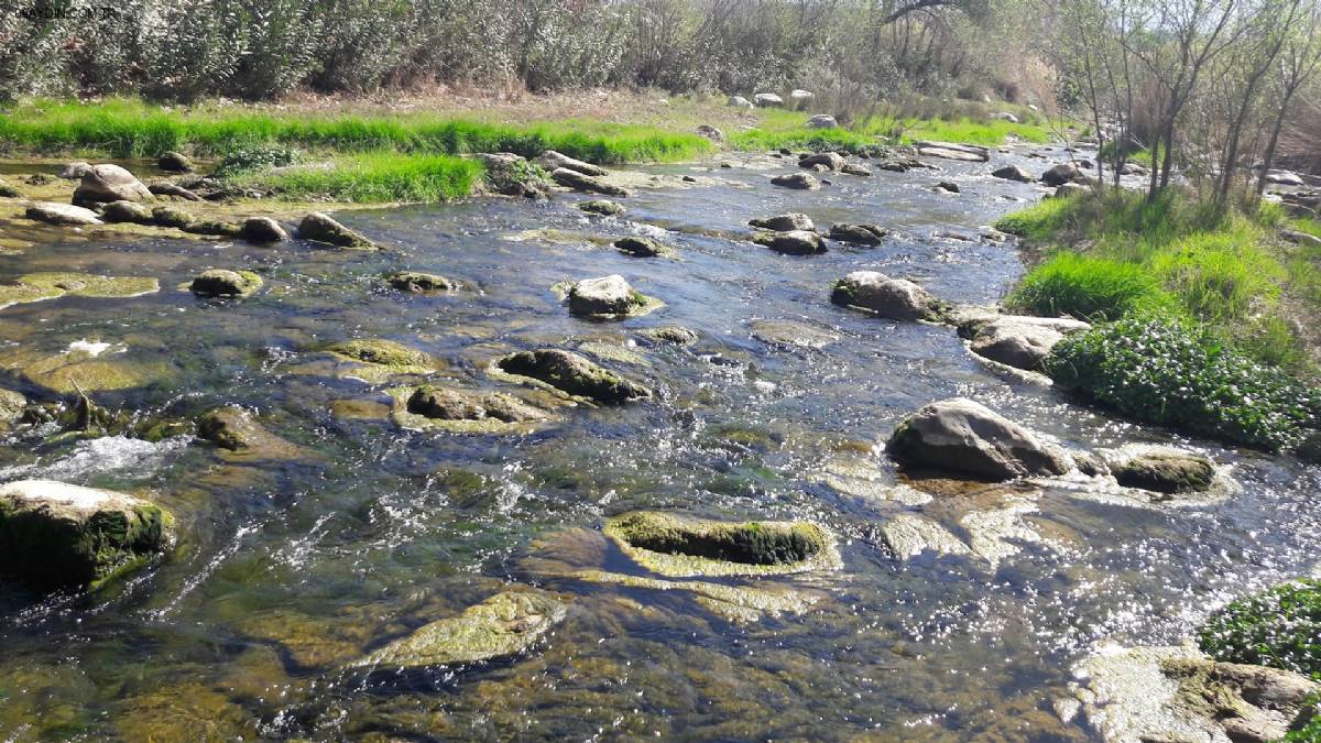 Yenice Kapalı Düğün Salonu