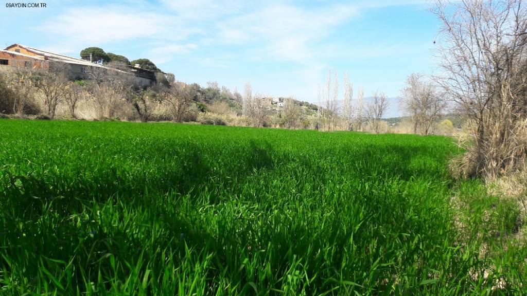 Yenice Kapalı Düğün Salonu Fotoğrafları