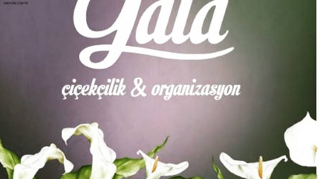 Gala Çiçekçilik & Organizasyon Fotoğrafları