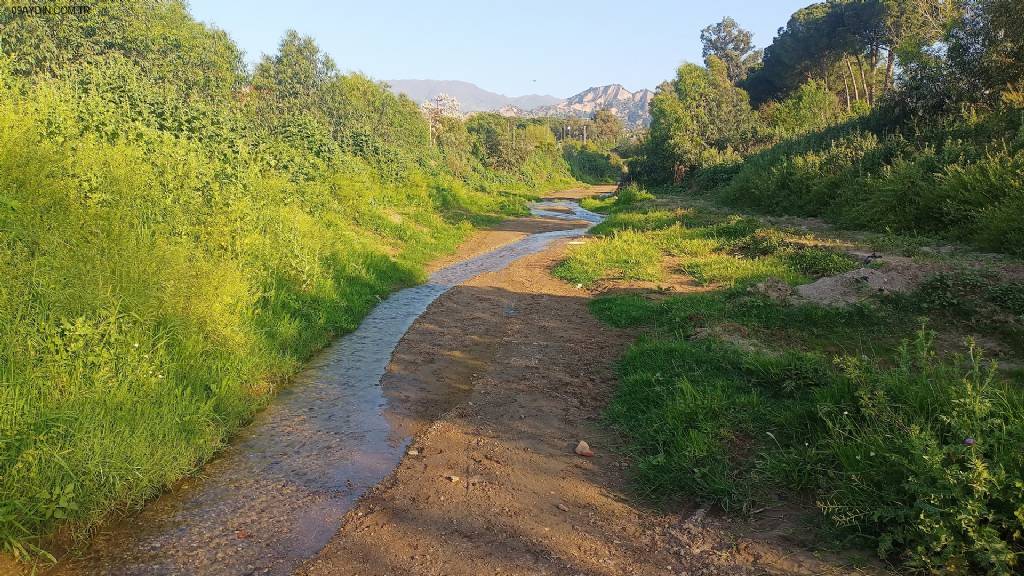 Sultanhisar Belediyesi Atça Palmiye Kafeterya Kır Düğün Salonu Fotoğrafları