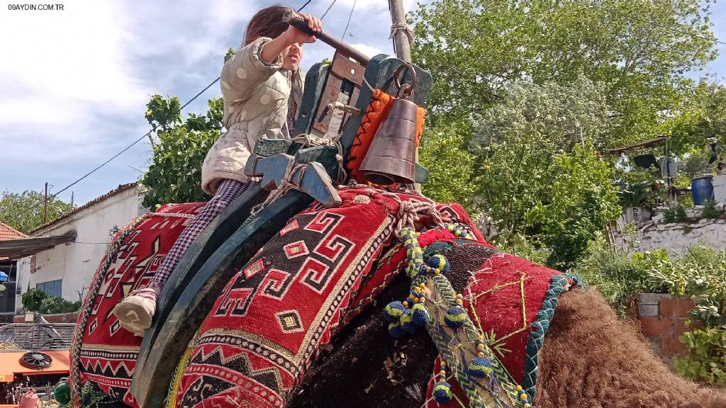 Aydoğdu Kapalı Düğün Salonu Fotoğrafları