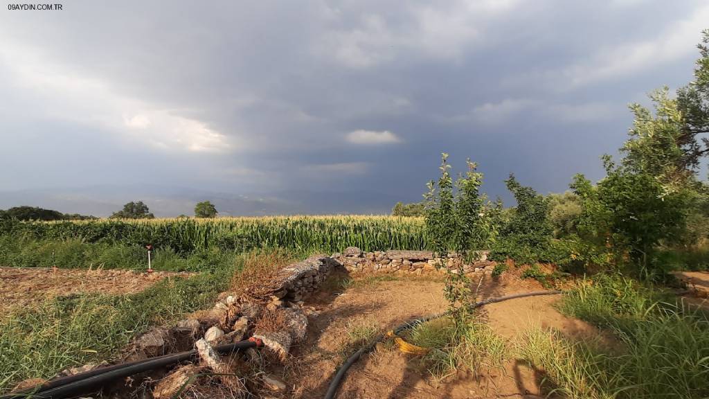 Çınar Garden Kır Düğün Salonu Bozdoğan Fotoğrafları