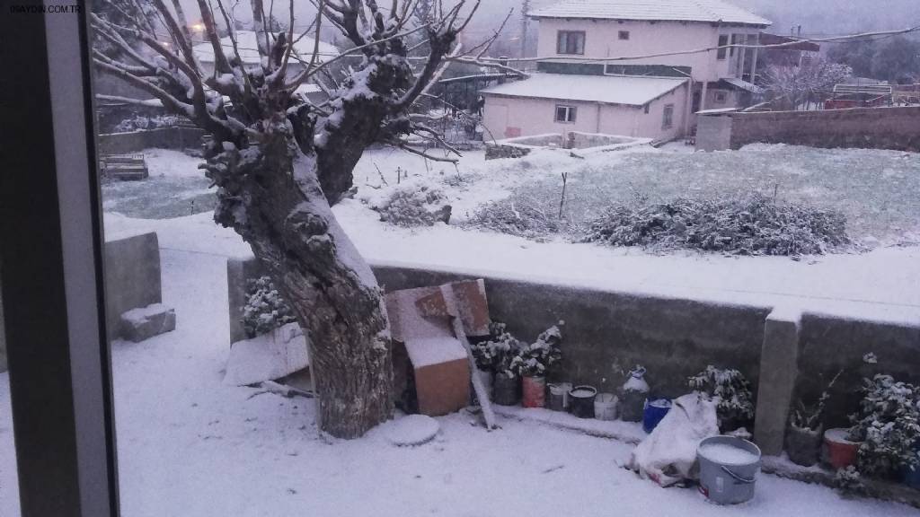 CAFER GIDER BIZIM MARKET Fotoğrafları