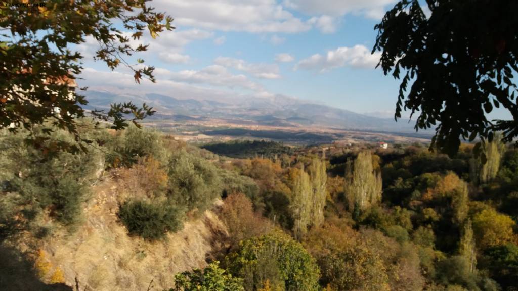 Dia-karacasu Aydın Şubesi Fotoğrafları