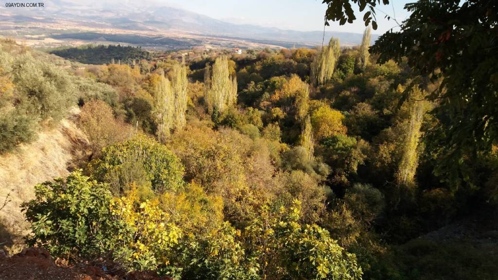 Dia-karacasu Aydın Şubesi Fotoğrafları